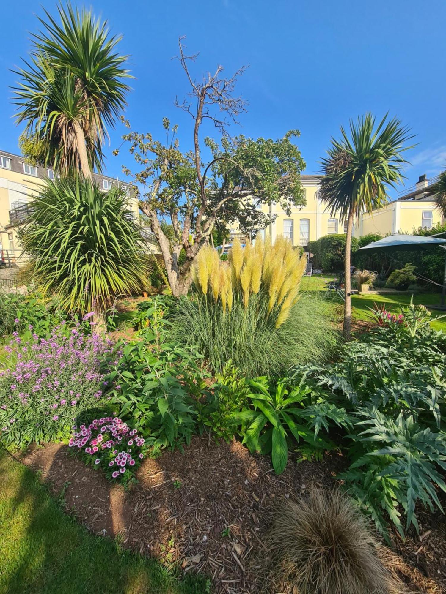 Meadowside Holiday Apartments 托基 外观 照片